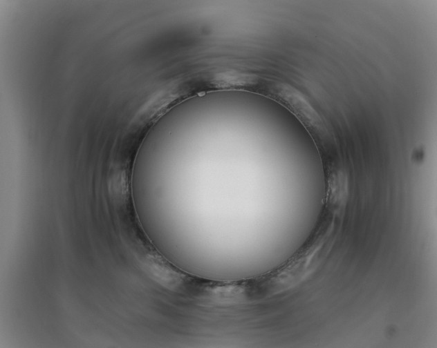 X0000094320426200711091346