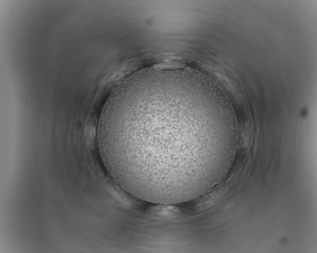 X0000094320427200711091346