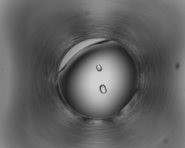 X0000094320428200711091346