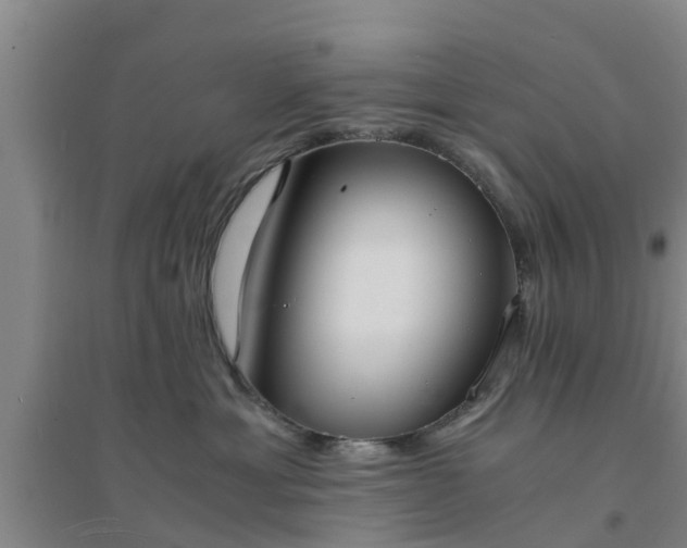 X0000094320429200711091346