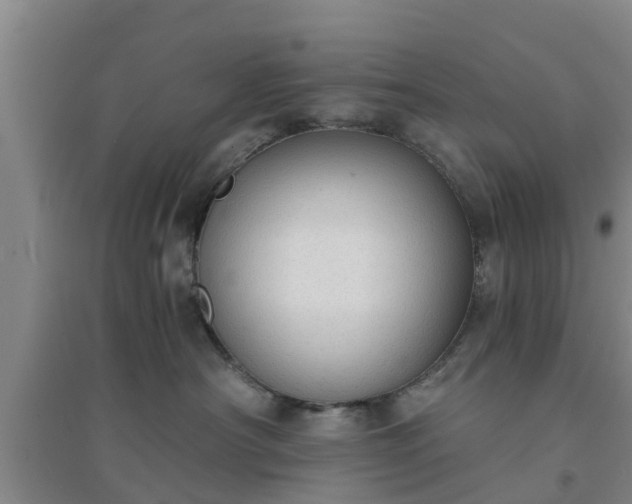 X0000094320430200711091346