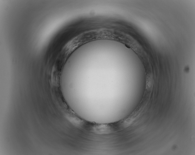 X0000094320431200711091346