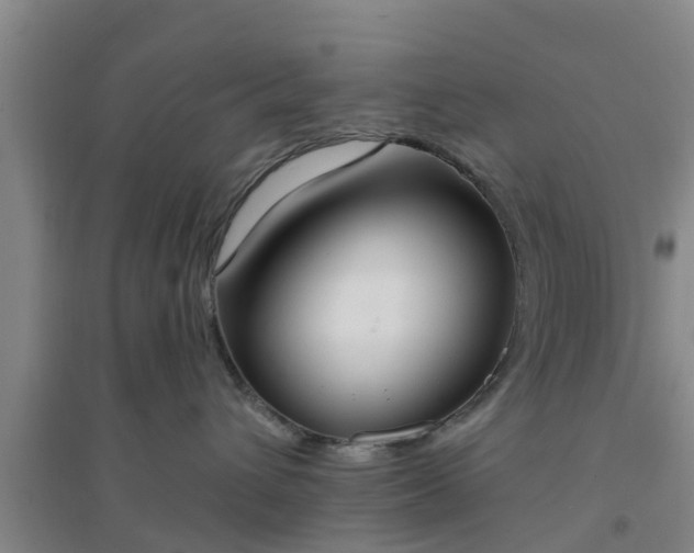 X0000094320432200711091346