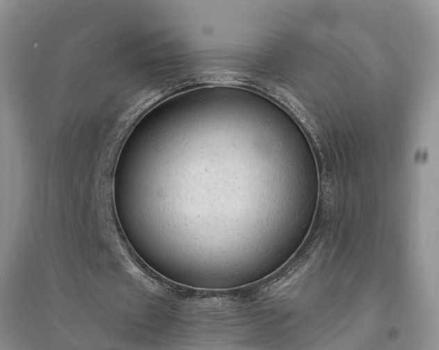 X0000094320433200711091345