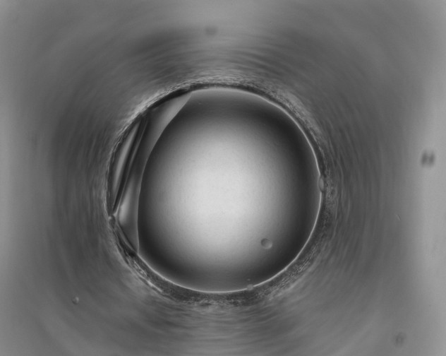 X0000094320434200711091345
