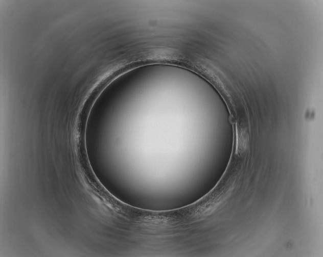 X0000094320435200711091345
