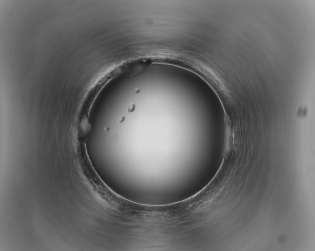 X0000094320436200711091345