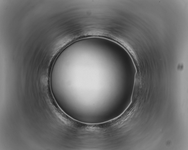 X0000094320437200711091345