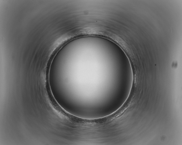 X0000094320438200711091345