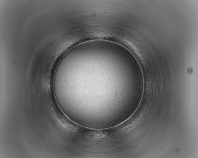 X0000094320443200711091345