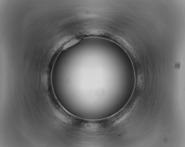 X0000094320444200711091345