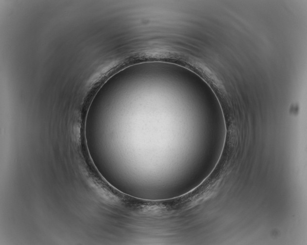X0000094320446200711091345