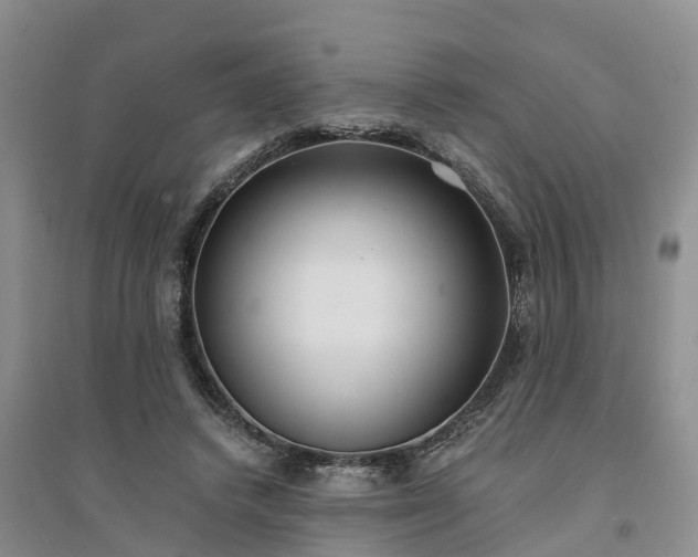 X0000094320448200711091345