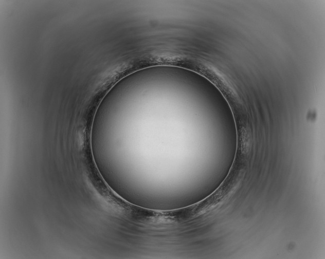 X0000094320451200711091345