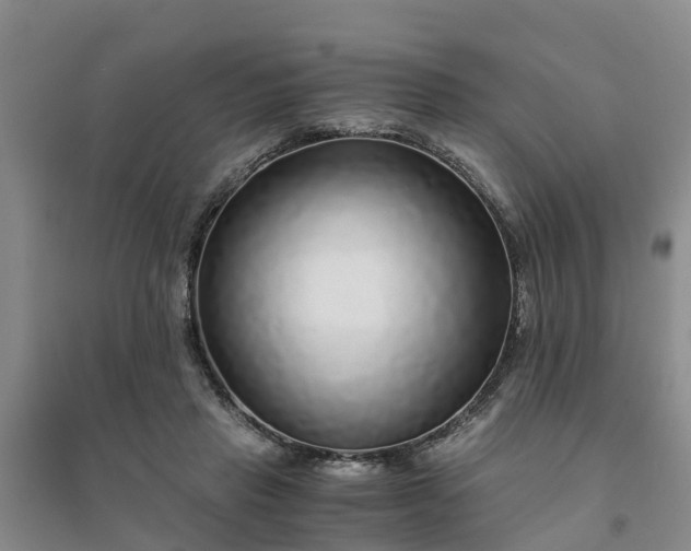 X0000094320453200711091345