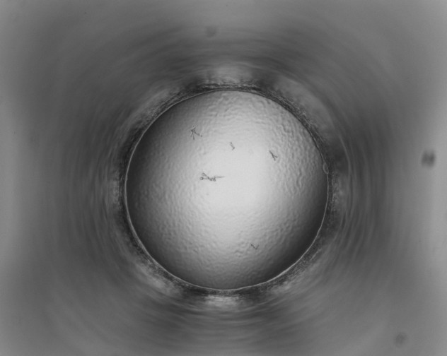X0000094320457200711091345