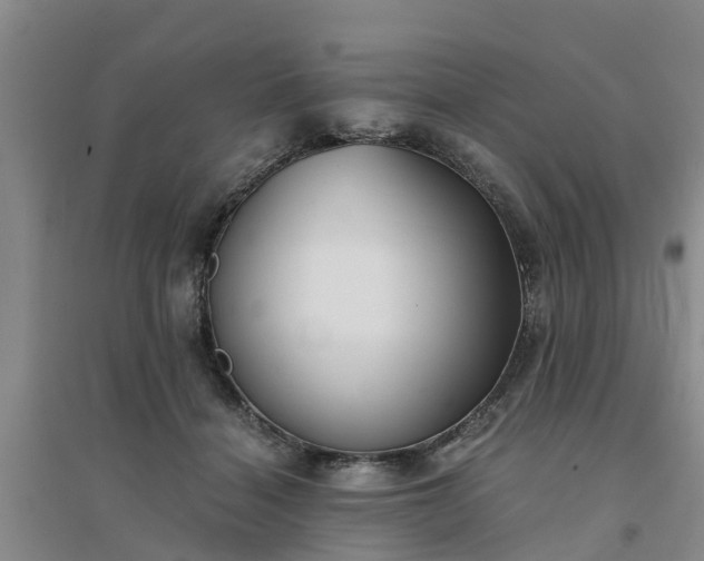 X0000094320460200711091345
