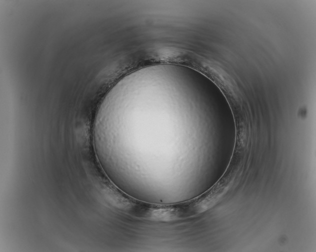 X0000094320461200711091345