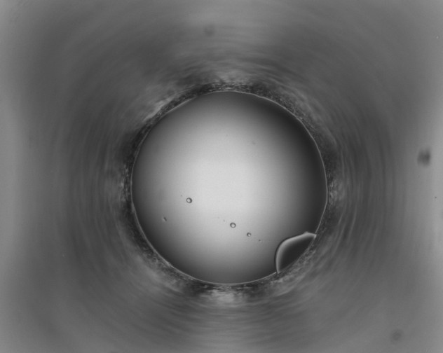 X0000094320464200711091345