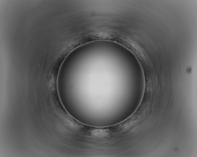 X0000094320465200711091345