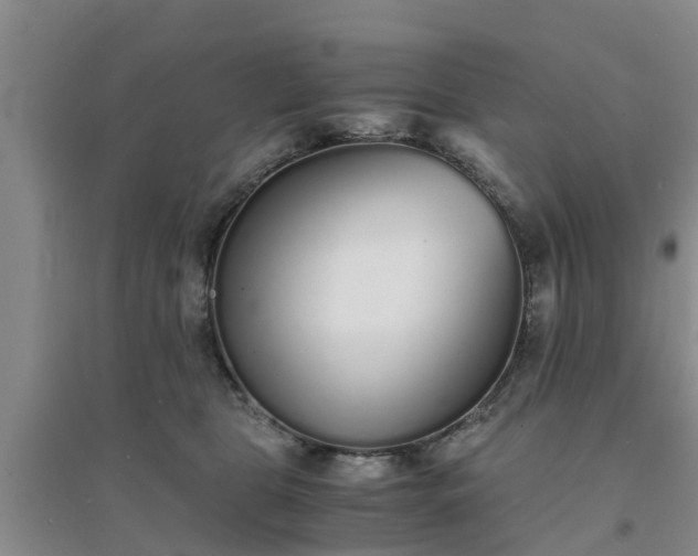 X0000094320469200711091345