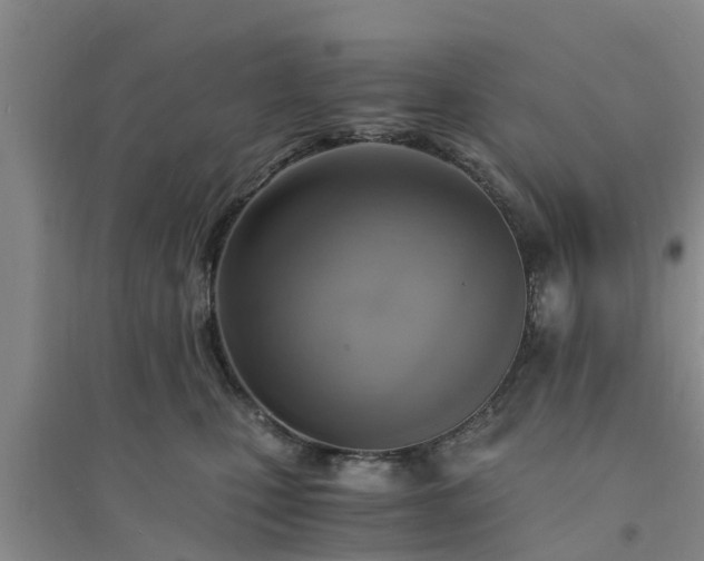 X0000094320471200711091345