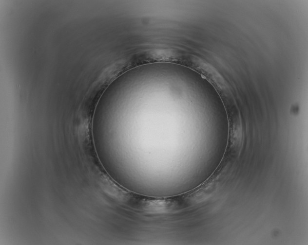 X0000094320473200711091345