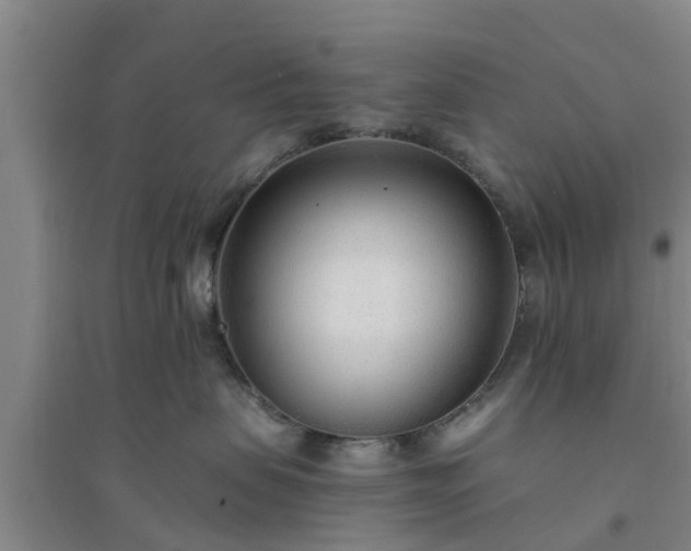 X0000094320479200711091346