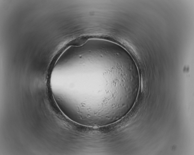 X0000094320483200711091345
