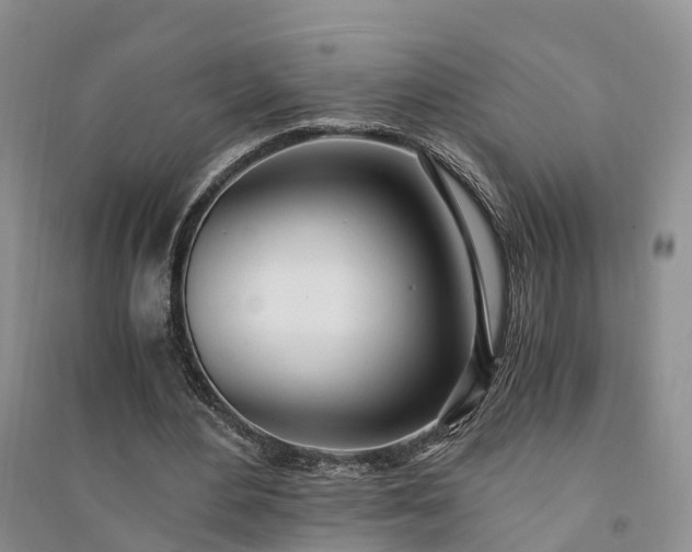 X0000094320484200711091345