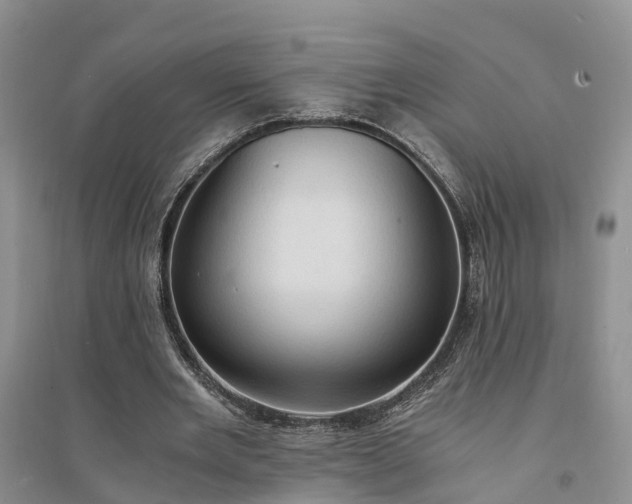 X0000094320485200711091345