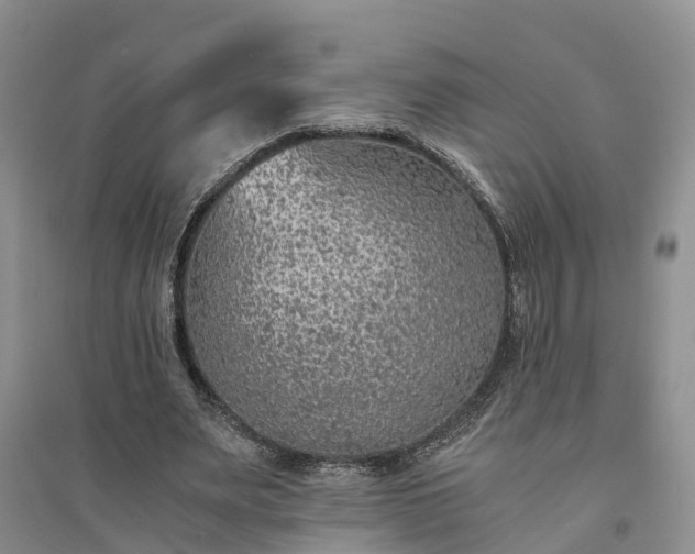 X0000094320487200711091345