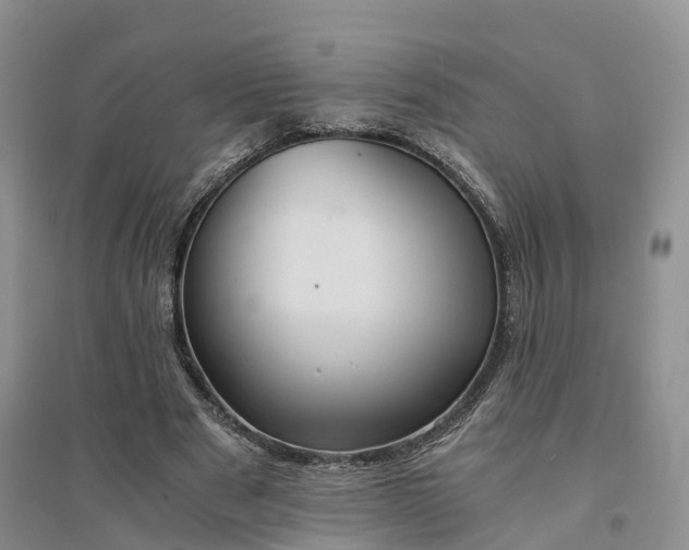 X0000094320489200711091345