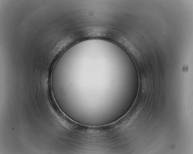 X0000094320490200711091345