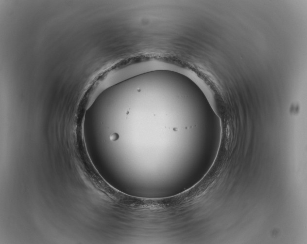 X0000094320492200711091345