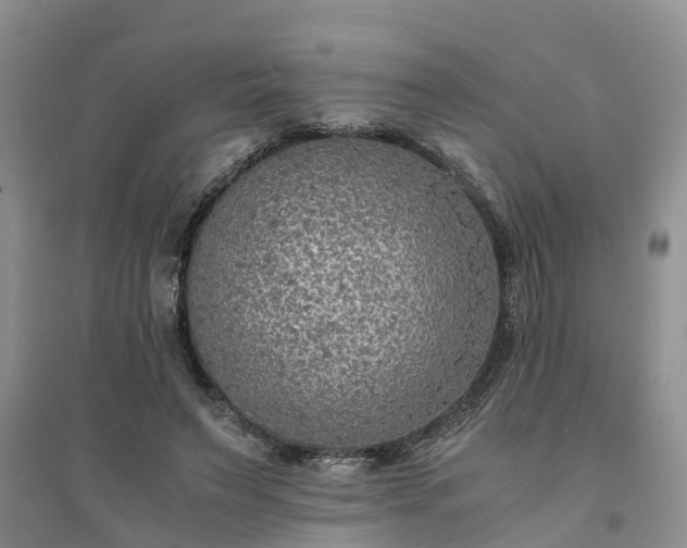 X0000094320495200711091344