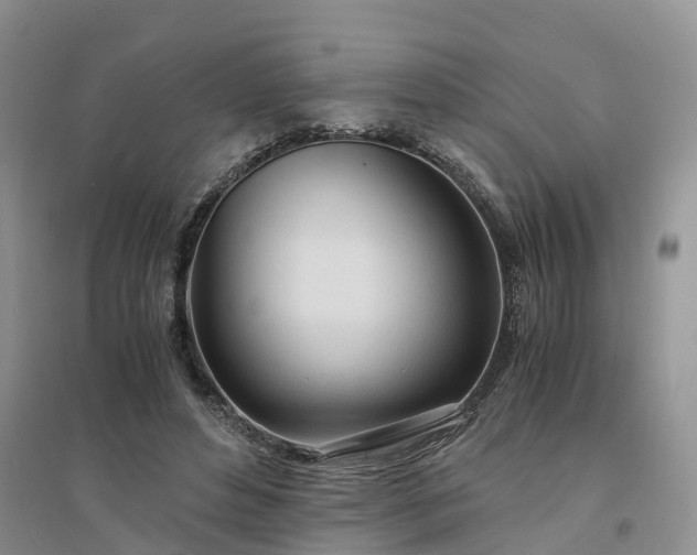 X0000094320496200711091344