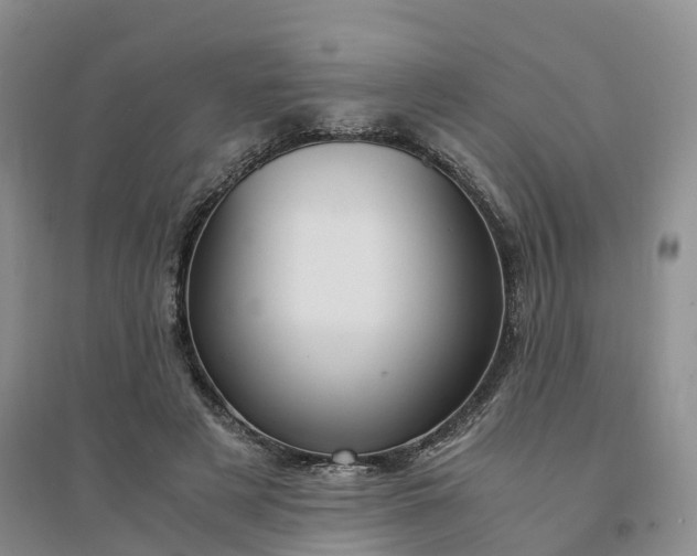 X0000094320497200711091344