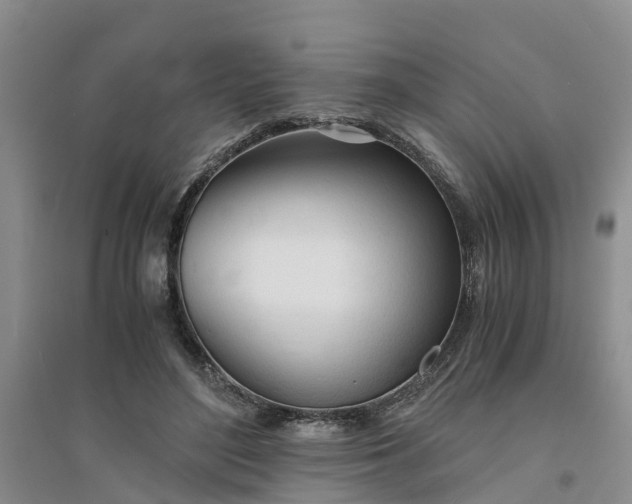 X0000094320500200711091344