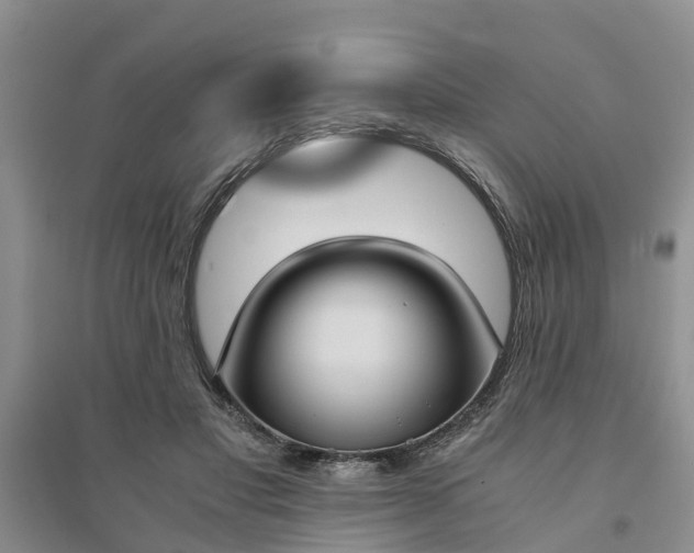 X0000094320501200711091344