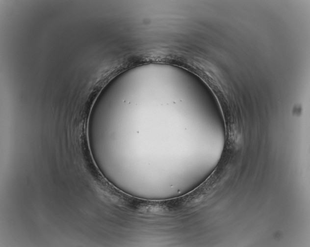 X0000094320503200711091344
