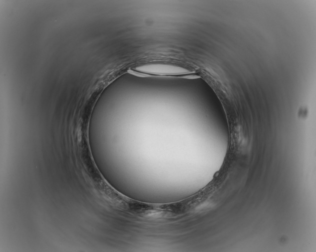 X0000094320504200711091344
