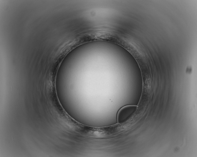 X0000094320506200711091344