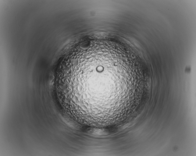 X0000094320507200711091344