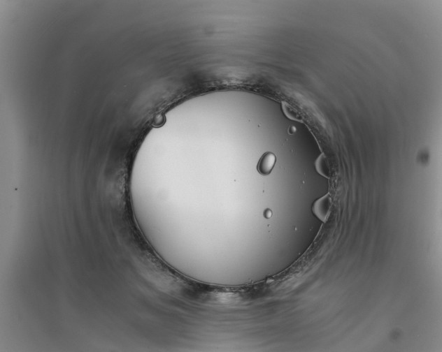 X0000094320509200711091344