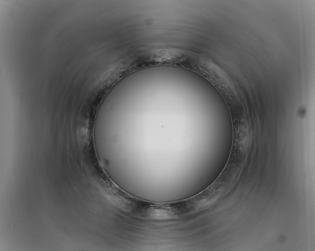 X0000094320510200711091344