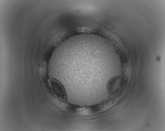 X0000094320511200711091344