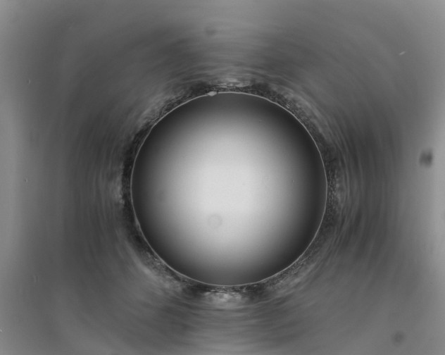 X0000094320512200711091344