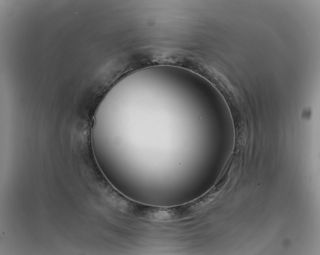 X0000094320513200711091344