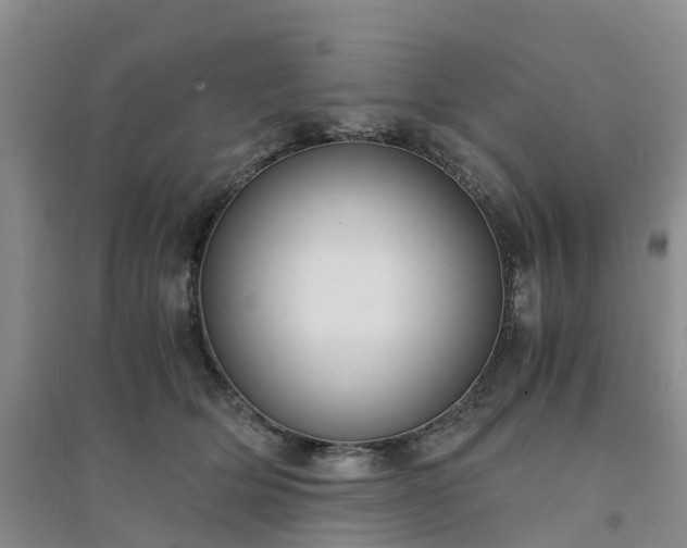 X0000094320514200711091344